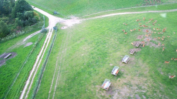 қоршау жүйелері сапалы бұғы фермалары өндірісі кешенді қызметтер үлкен аумақты қоршау Польша